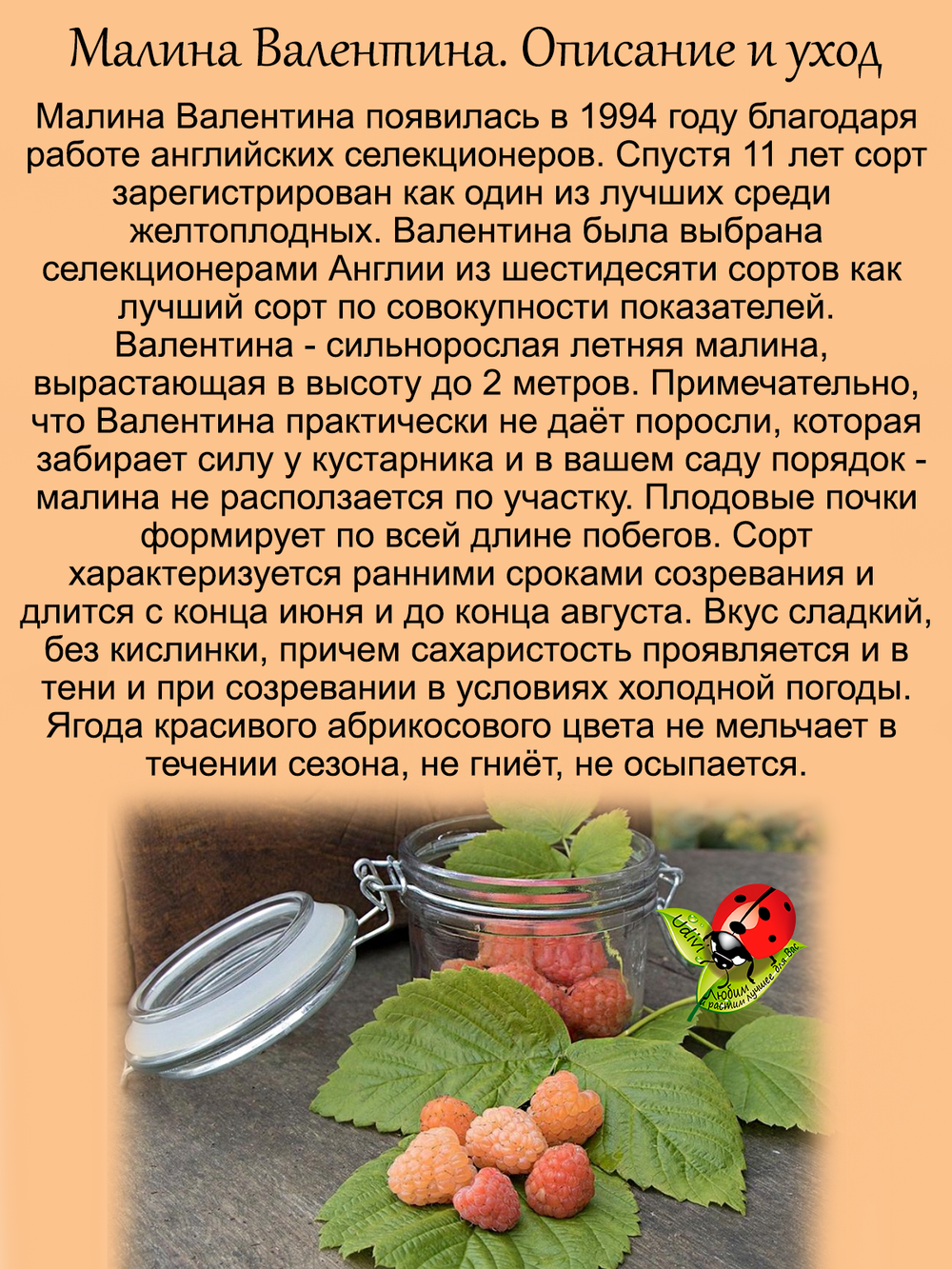 Малина Валентина