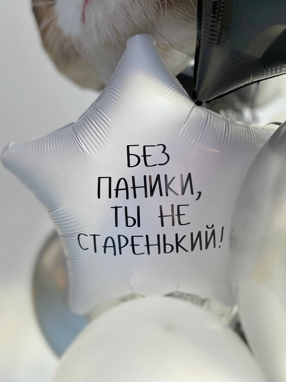 Вздушные шары Кот "Без паники, ты не старенький" №2056