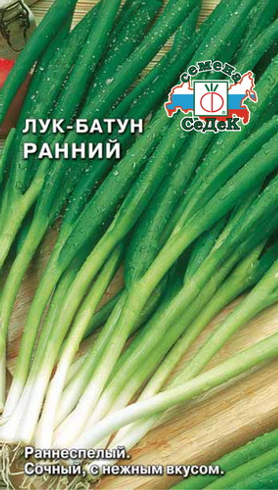 Лук батун Ранний 1г Ц СеДеК