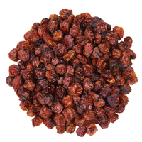 Рябина Алтайская "Зимняя"