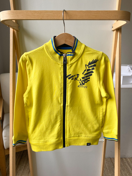 Толстовка Armani, 104