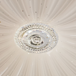 Накладной светильник ARTE Lamp A2675PL-72WH