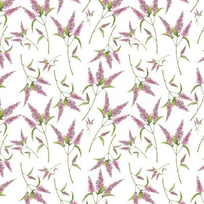 Фиолетовые цветы на белом фоне