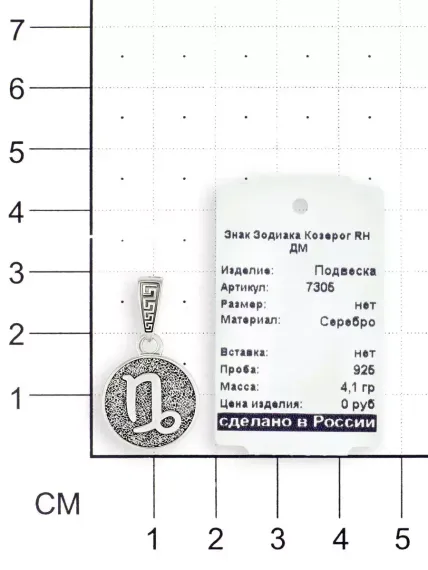 Фото кулона Козерог из серебра, вид на размерной сетке.