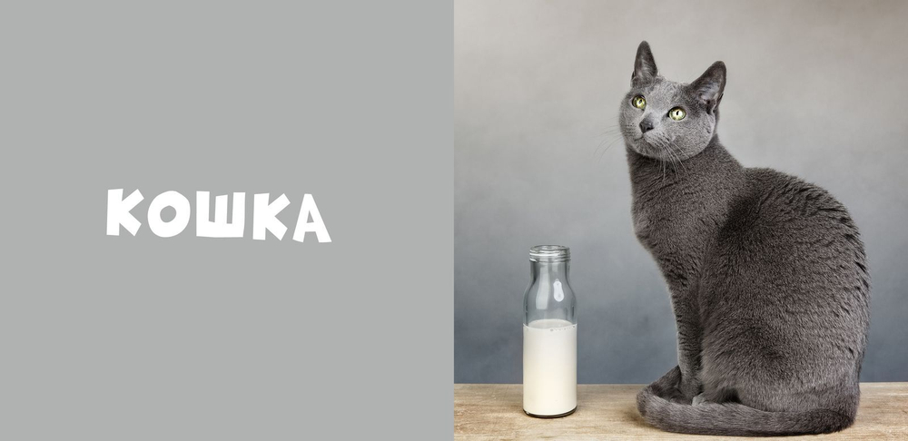 Мои первые слова. Фото-книга. Животные МИНИ (нов.)