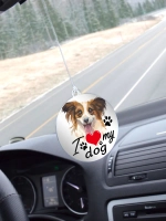 Подвеска в машину - Папильон (Папийон)