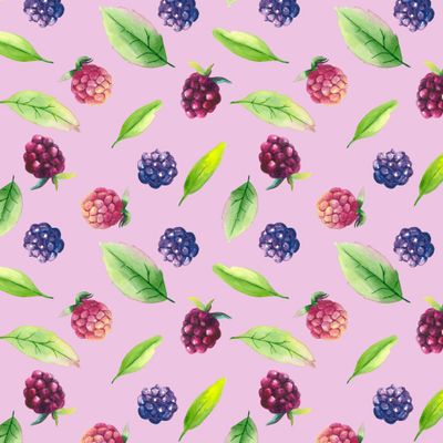 Ежевика на розовом фоне