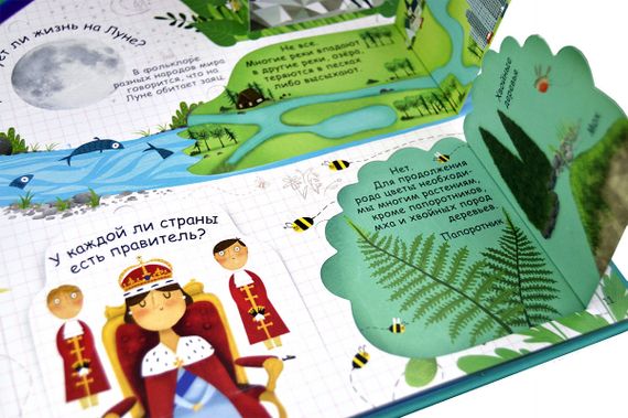 Вопросы и ответы о самом важном