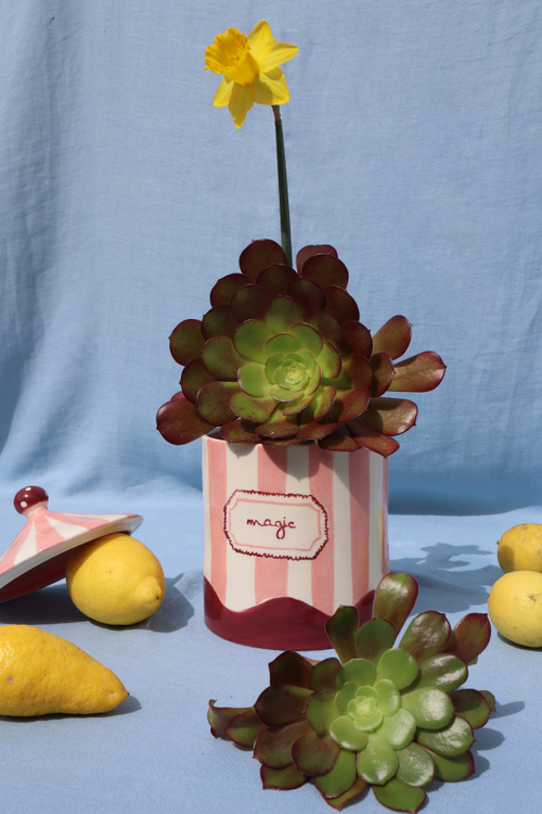 Керамическая шкатулка Magic Box