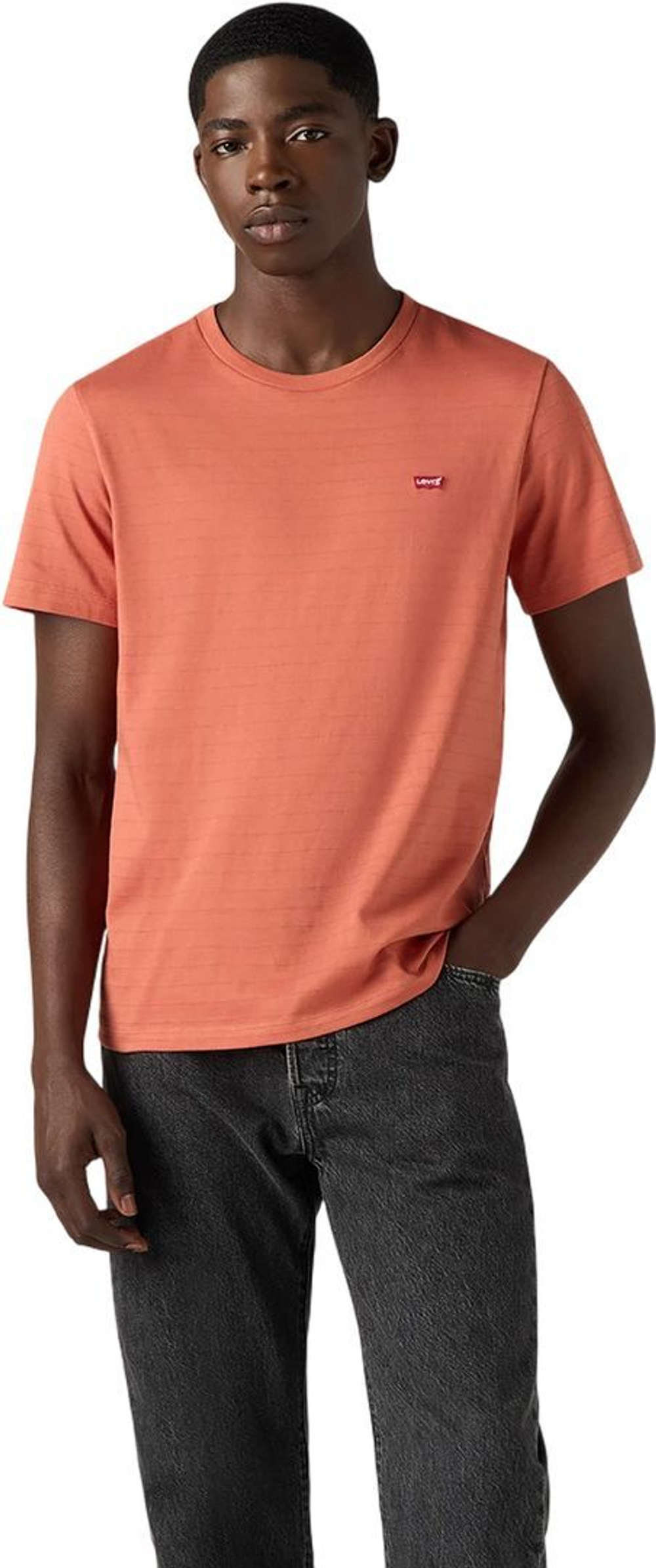Футболка Levis SS ORIGINAL HM TEE красный