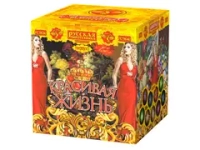 РС9640 Красивая жизнь (2,0”х 25)