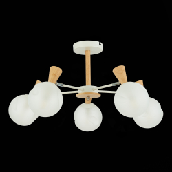 Светильник потолочный Evoluce Catania SLE220702-05