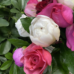 🌸♛ Пионы и розы — букет исключительных ароматных цветов — 8 марта у Феи