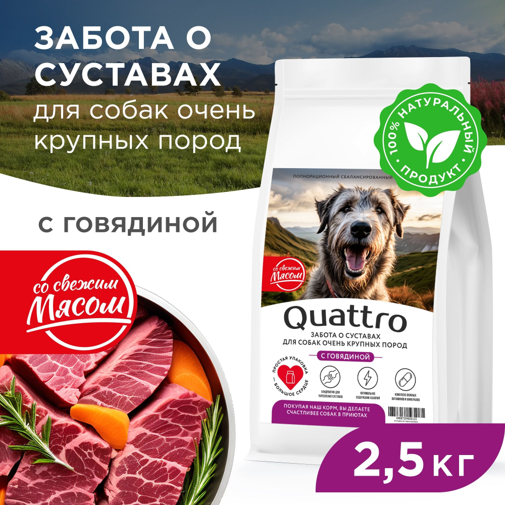 Корм сухой для взрослых собак очень крупных пород, премиум полнорационный комплекс, забота о суставах, с говядиной, 2,5 кг, QUATTRO