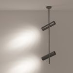 Потолочный светильник Technical C021CL-02B