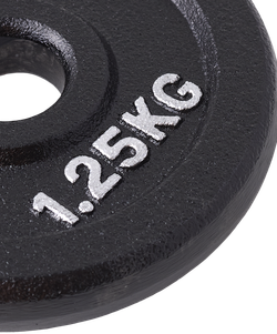 Диск чугунный STARFIT BB-204 d=26 мм, черный, 1,25 кг