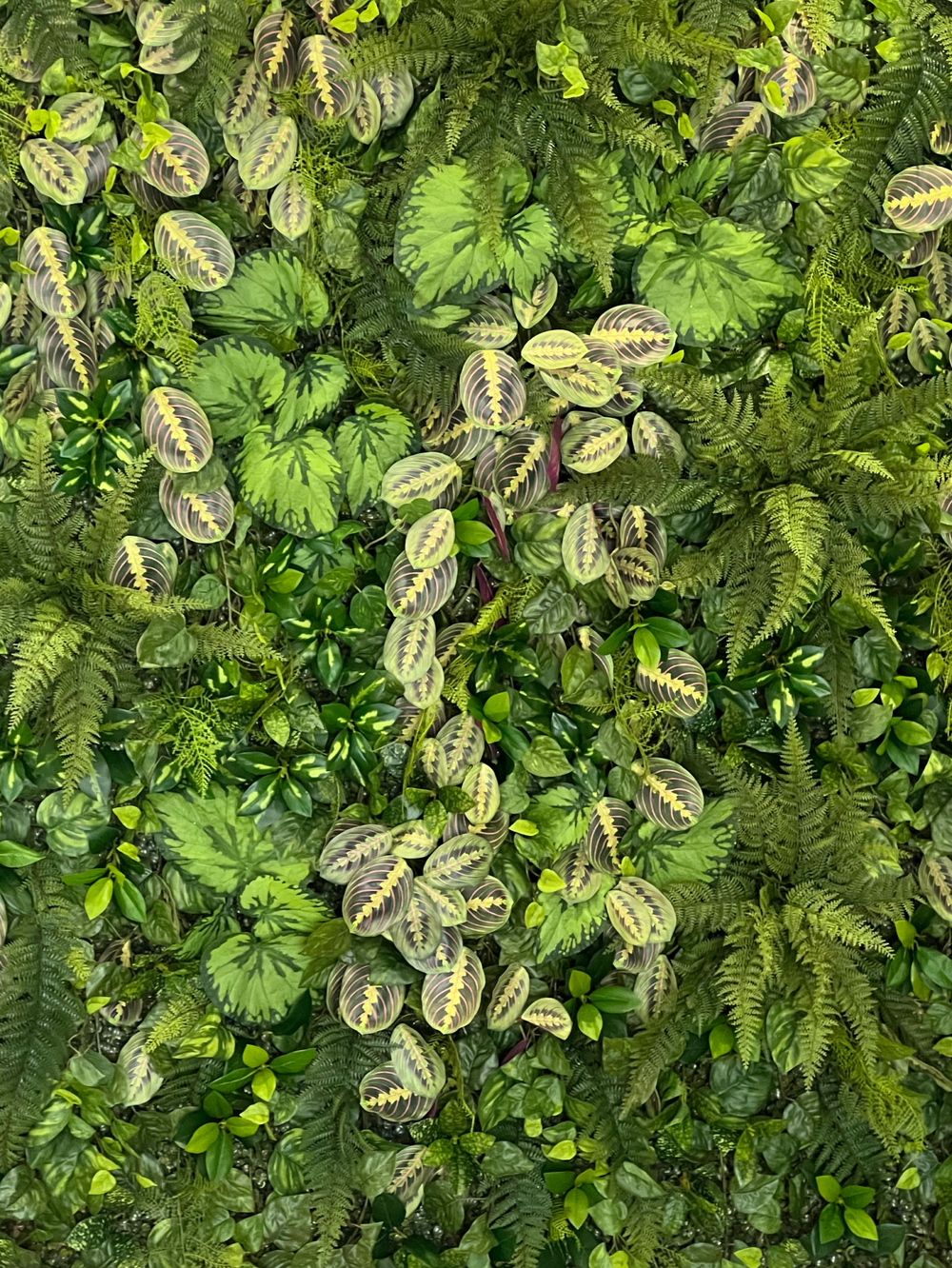 Вертикальное озеленение искусственными растениями и мхом