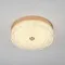 Потолочный светильник LED4U L1117-300 GD