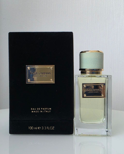 D & G Velvet Infusion, 100 ml (унисекс)