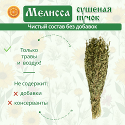 Мелисса лимонная пучок.