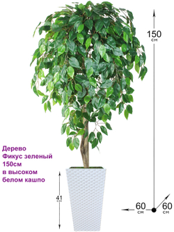 Искусственное дерево Фикус зеленый 150см в высоком белом кашпо ротанг