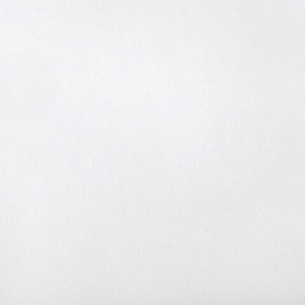 Картон белый А4 немелованный, 10 листов, в папке, ЮНЛАНДИЯ, 200х290 мм, "Лебедь", 115639