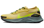 Кроссовки Nike Pegasus Trail 3 Gtx
