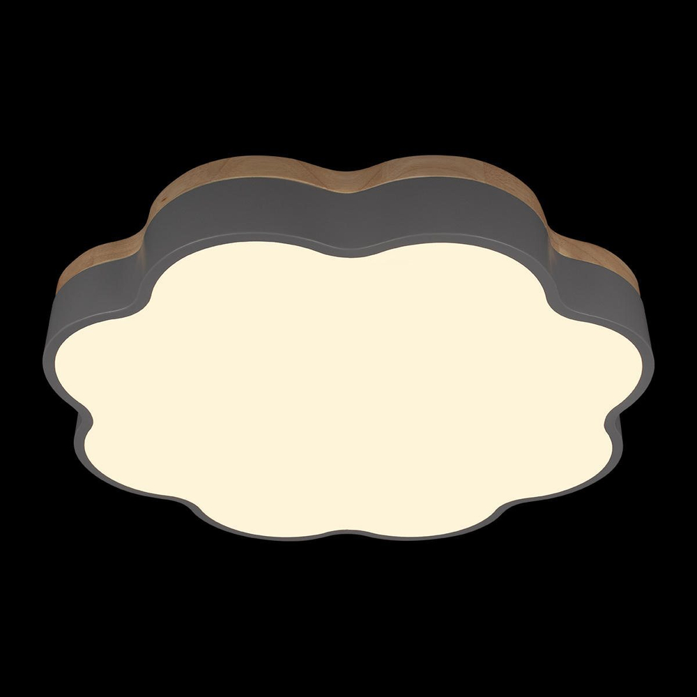 Потолочный светодиодный светильник Loft It Axel 10225/36 Grey