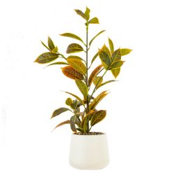 GAEM Цветочная композиция "Кодиеум", L26 W36 H60 см