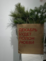Композиция из хвои в крафт пакете