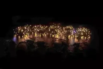 Комплект гирлянды на деревья, 100 м., 5 лучей по 20 м., 1000 теплых белых LED, 24В, IP 54, мерцание, черный провод, TeamProf (TPF-S5*20F-B/WW)