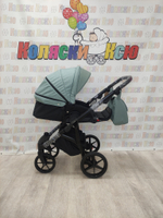 Коляска модульная Adamex Nola N-PS122