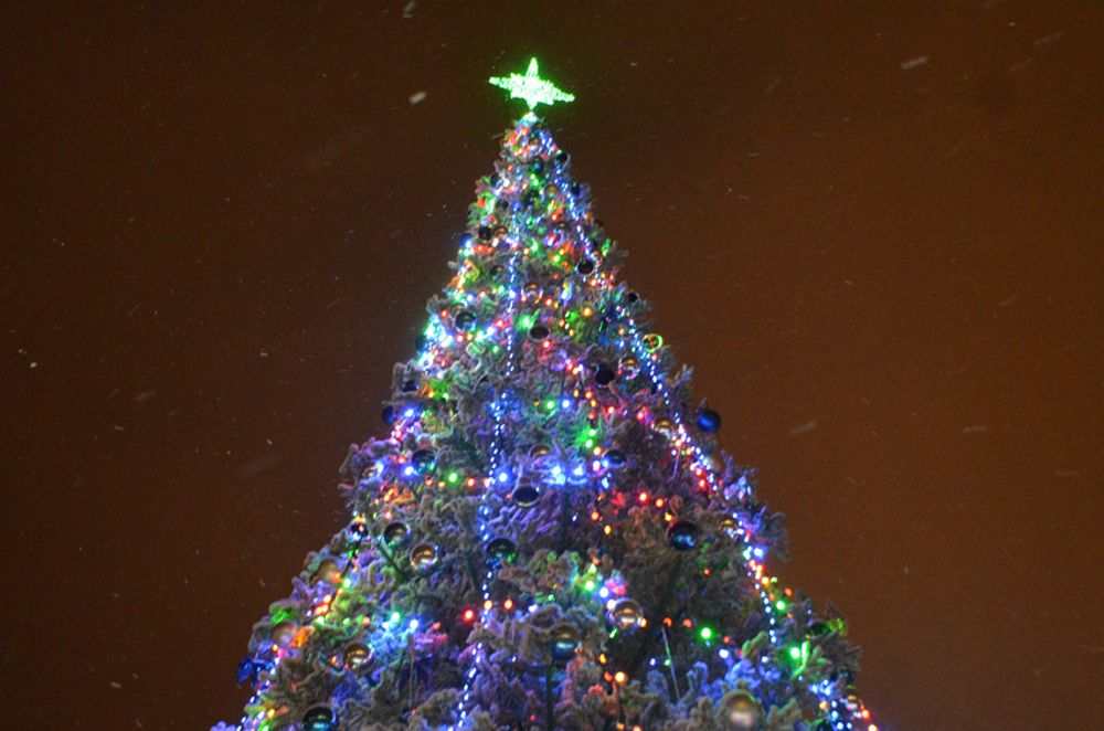 Уличная елка ствольная "Альпийская изумрудная" (пвх бело-зелёная) 17 м