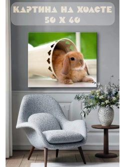 Картина на стену 40 X 50 Кролик
