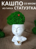 Кашпо статуэтка со мхом для интерьера