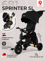 Велосипед трехколесный Qplay S700-17 RIDER SL Black (Rub/Gold)