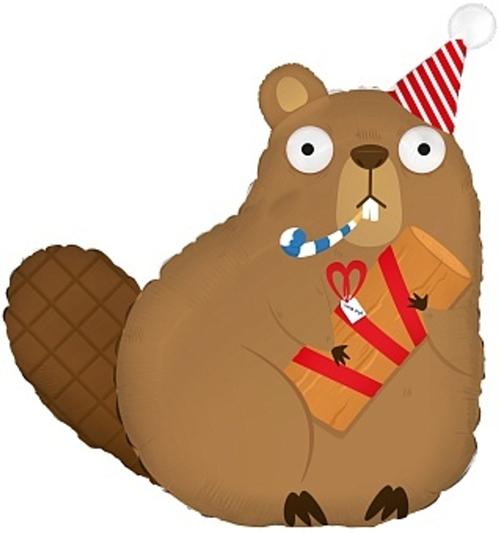 К Фигура Бобр с подарком 31''/79 см.