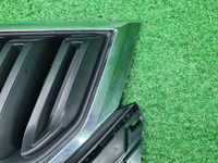 Решетка радиатора Skoda Kodiaq (2016-2022)