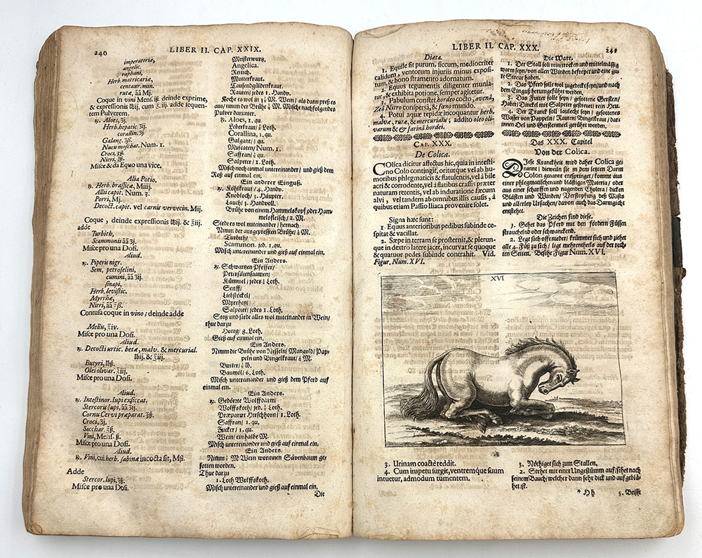 Винтер Г. С. Гиппиатр. Эксперт по лошадям, или полное собрание по медицине. 1678