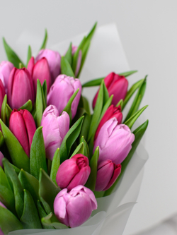 Тюльпаны микс