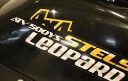 Квадроцикл СТЕЛС ATV 500 YS Leopard