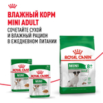 Royal Canin Mini Adult 8+ сухой корм для взрослых собак мелких размеров до 10 кг старше 8 лет 4 кг