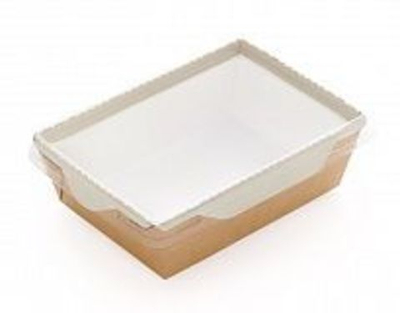 Упаковка ECO OpSalad 450мл 50шт/400шт в кор