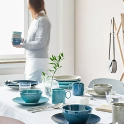 Thomas Rosenthal Group - Сервиз Loft Color на 2 персоны / артикул   1190040191710229 + 1190040191710324  / GTIN