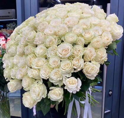 101 premium Роза Mondial