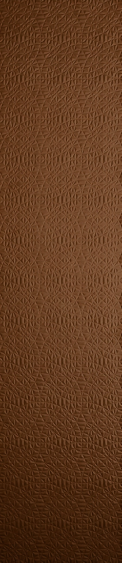 Crocodile (Коричневый V-816)