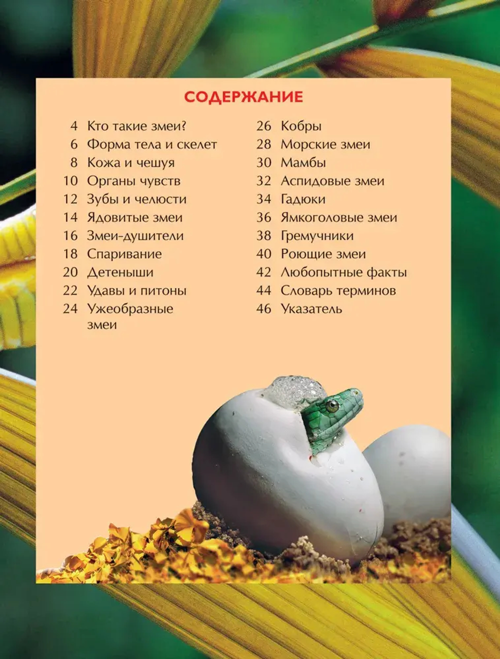 Змеи. Детская энциклопедия