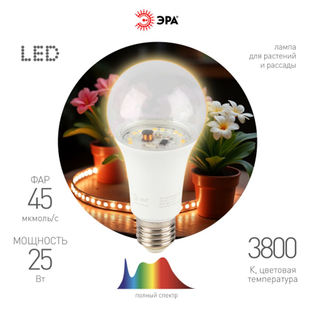 Фитолампа для растений светодиодная ЭРА FITO-25W-Ra90-E27 полного спектра 25 Вт Е27 | Фитолампы Е27