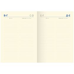 Ежедневник недатированный Delucci А6 (UD1_90601)