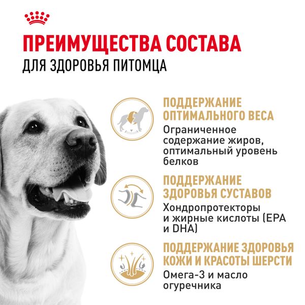 Сухой корм Royal Canin Labrador Retriever Adult для взрослых собак породы Лабрадор Ретривер от 15 месяцев